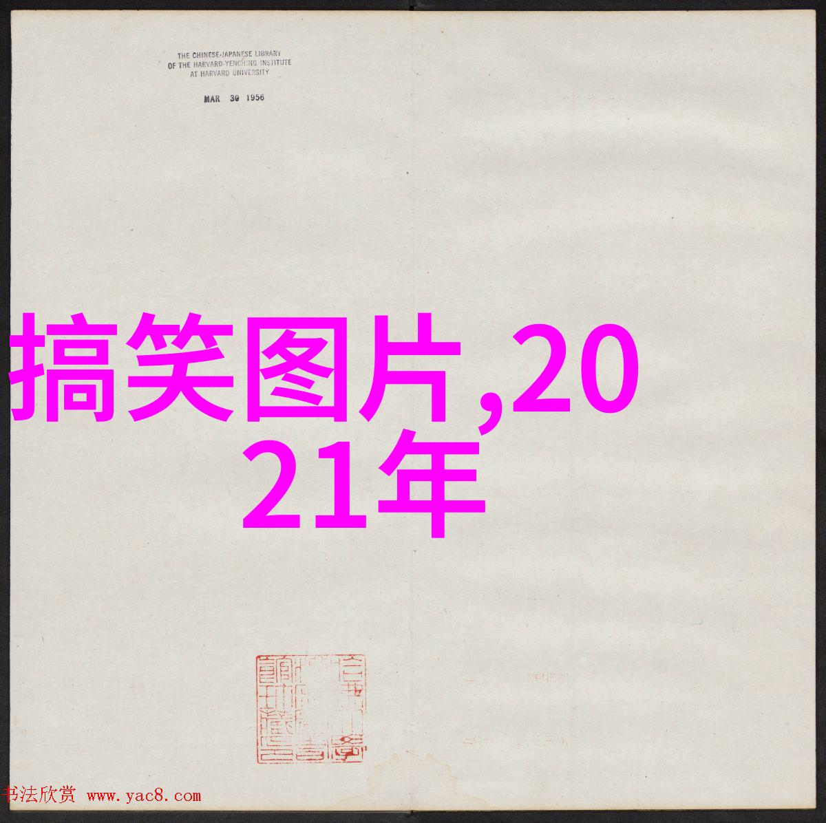 AKB48剧场演出戒严 探测器铁栅栏隔绝粉丝