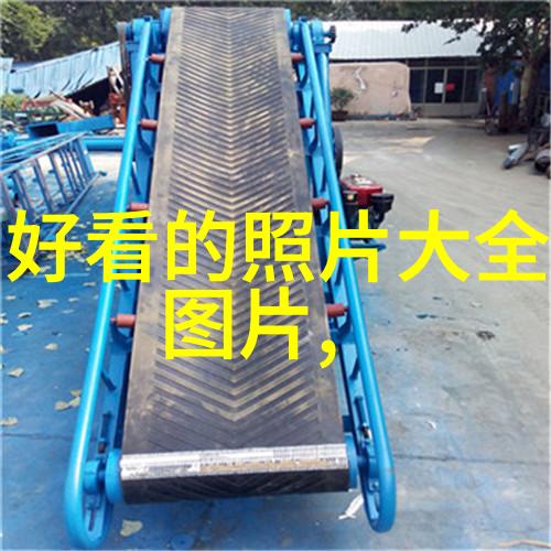 贾樟柯助力后会无期 赞韩寒懂演员